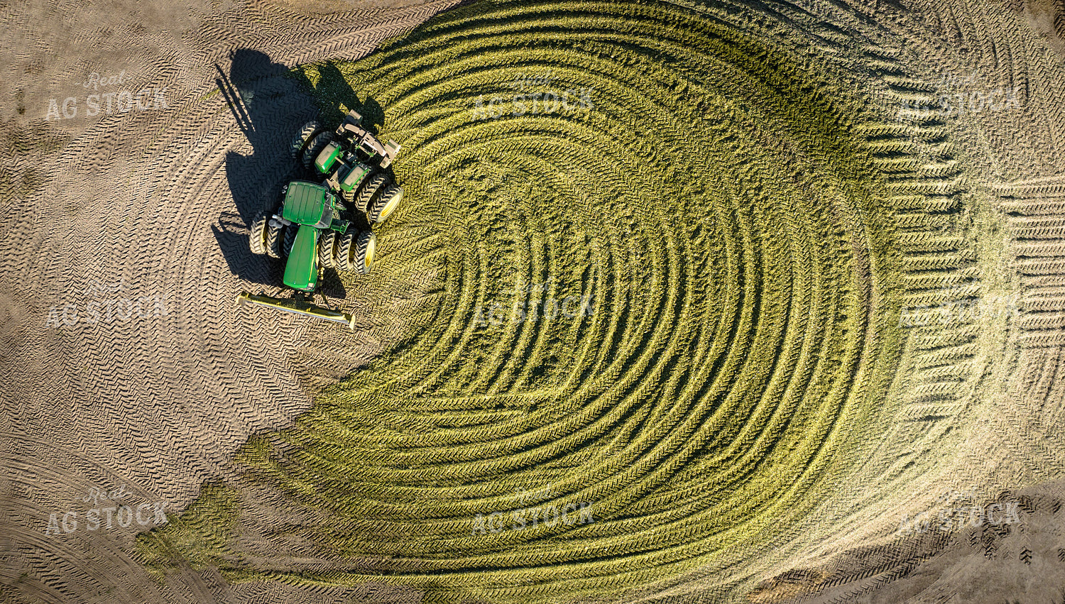 Compacting Silage 56512