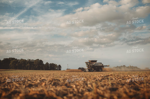 Combine Cutting Soybeans 4842