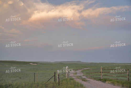 Scenic Pasture 110028