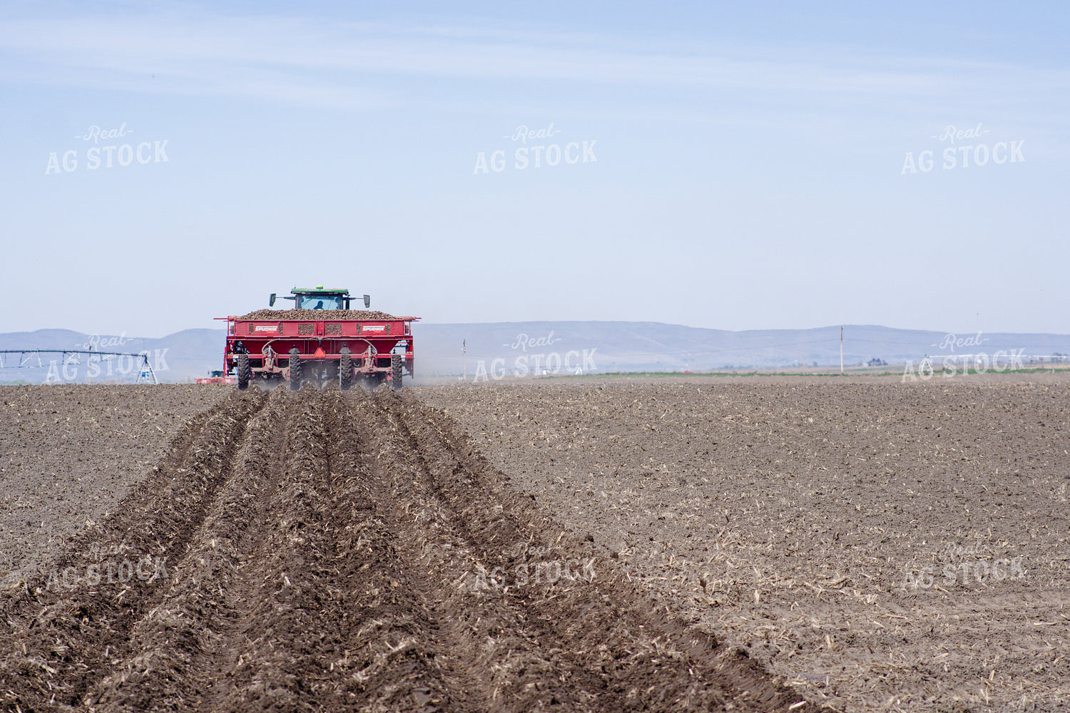 Planting Potatoes 146073