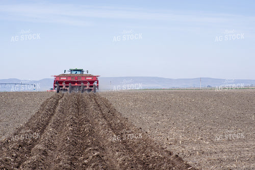Planting Potatoes 146073
