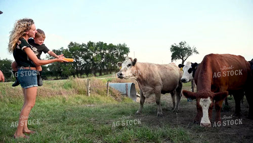 Farm Family in the Cattle Pasture - 384