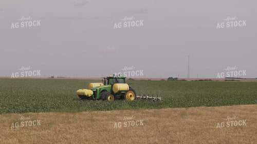 Ripping Corn 239312