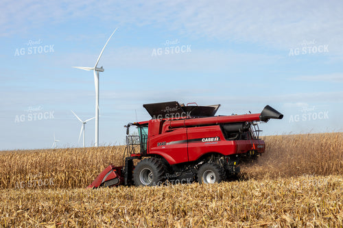 Combine Harvesting Corn 67140