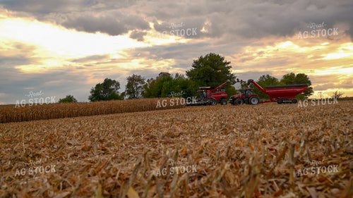 Combine Unloading Corn into Auger Wagon on the Go 25649