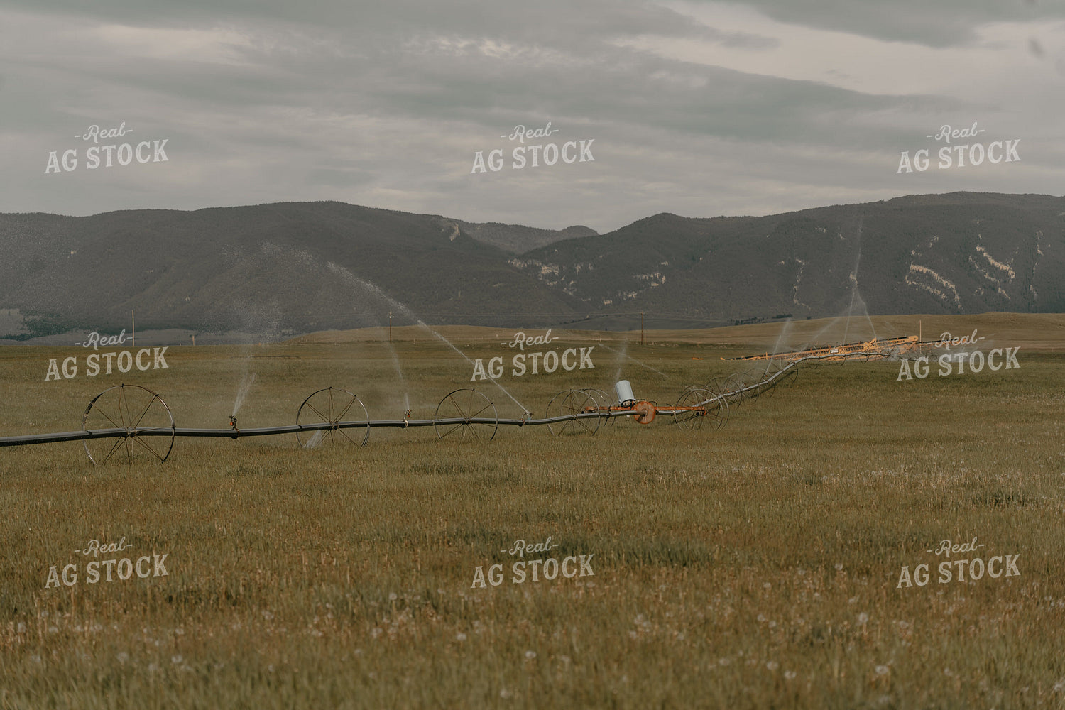 Irrigation System in Pasture 58217