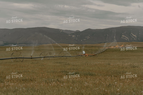 Irrigation System in Pasture 58217