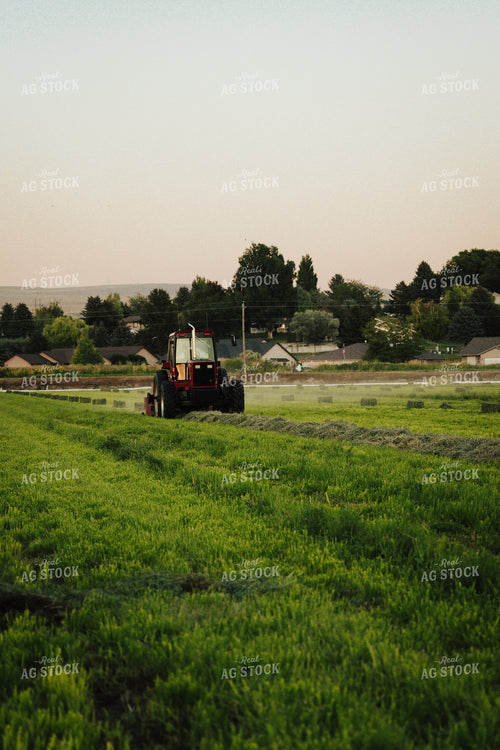Baling Hay 83113