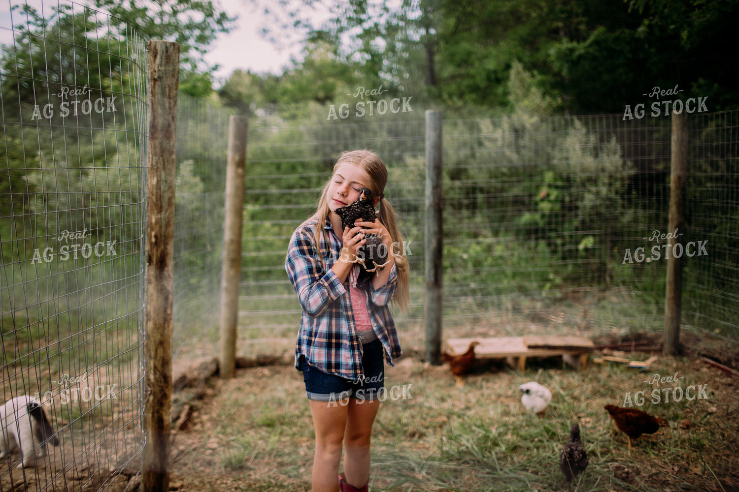 Farm Kid with Chicken 169046