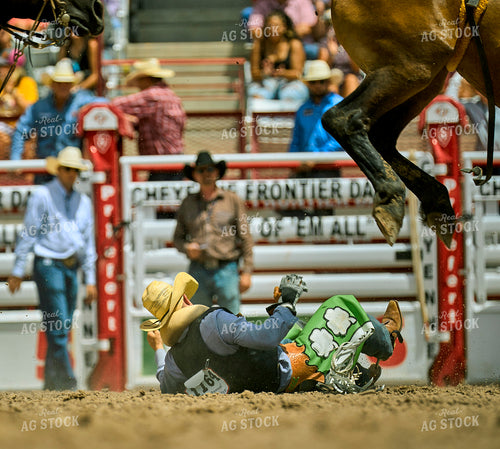 Saddle Bronc Riding 177003