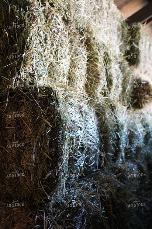 Square Hay Bales 235000