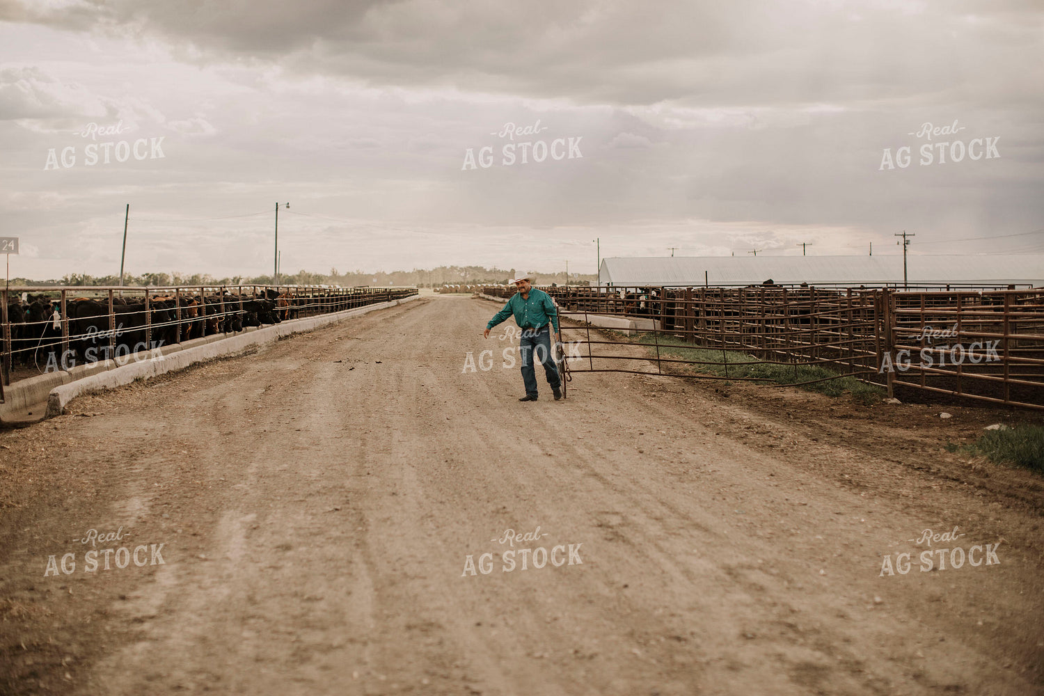 Feedyard 3047