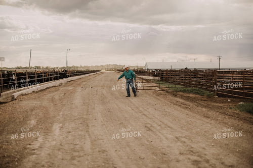 Feedyard 3047