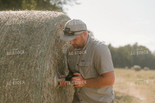 Farmer Checking Hay Moisture 125393