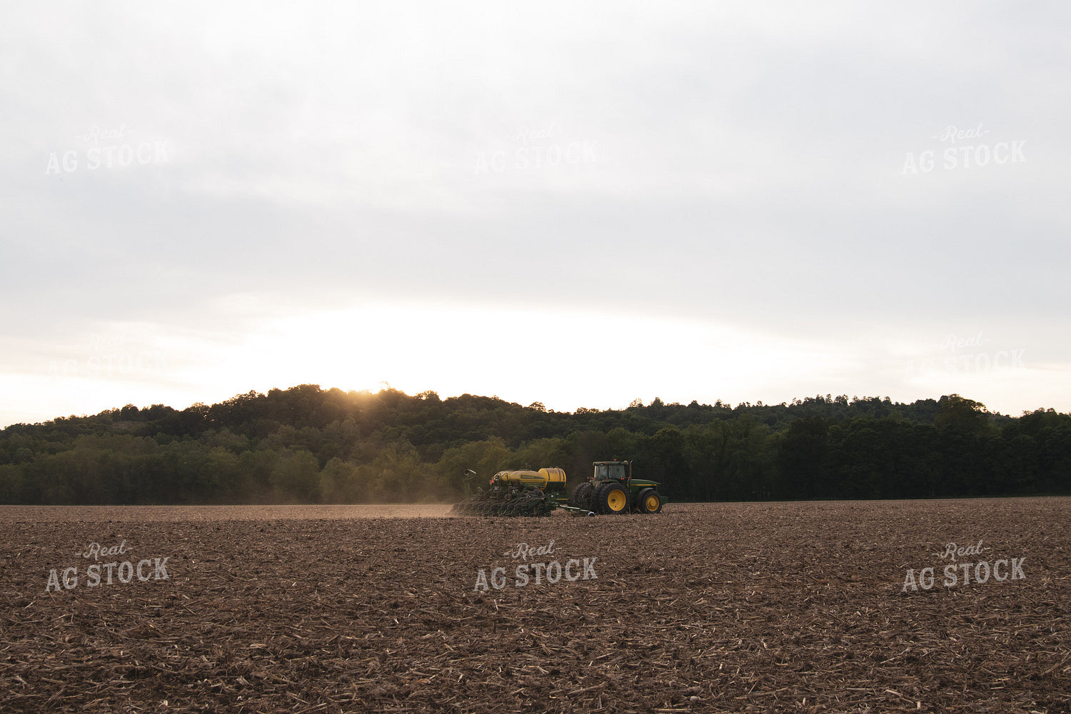 Planting on Sunny Day 52134