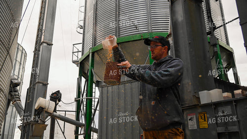 Farmer Testing Corn Moisture On-farm Storage 25620