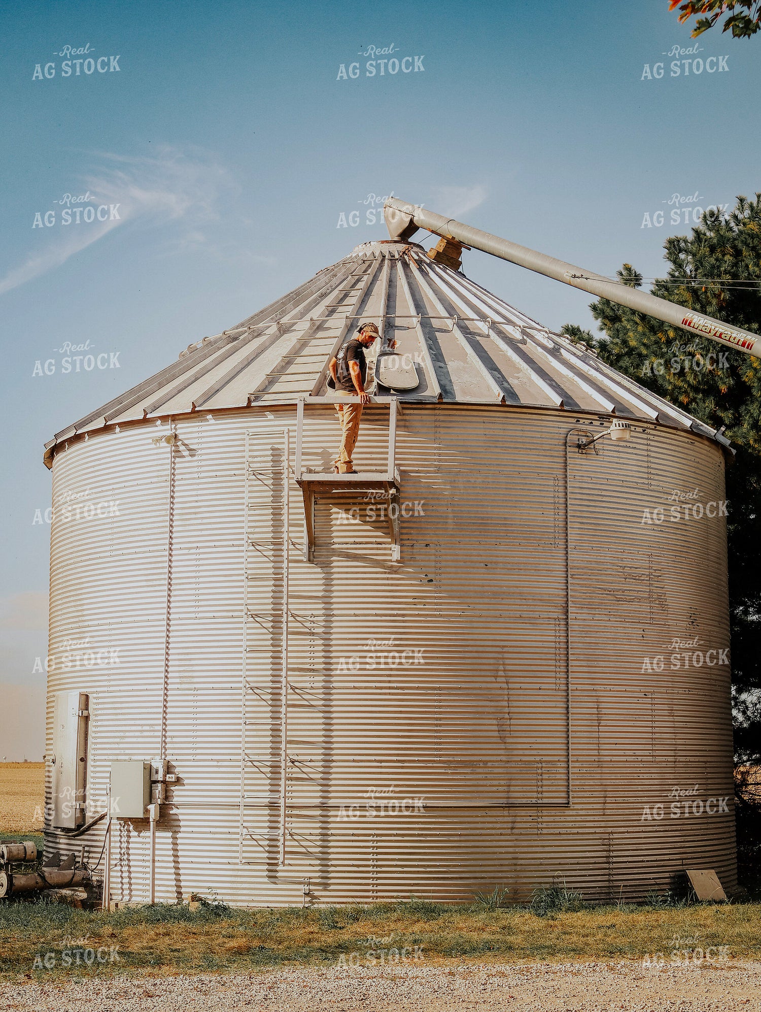 Filling Grain Bin 289009
