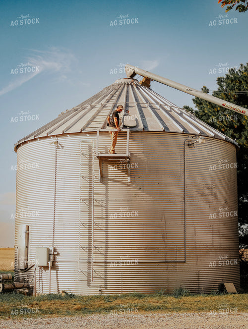 Filling Grain Bin 289009