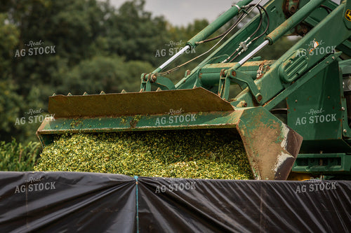 Storing Corn Silage 270604
