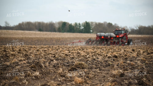 Planting into Tilled Cover Crops 25174