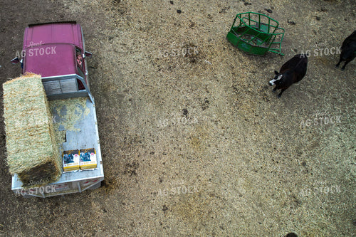 Aerial View of Ranch Scene Featuring Truck, Hay, and Grazing Cattle 65291