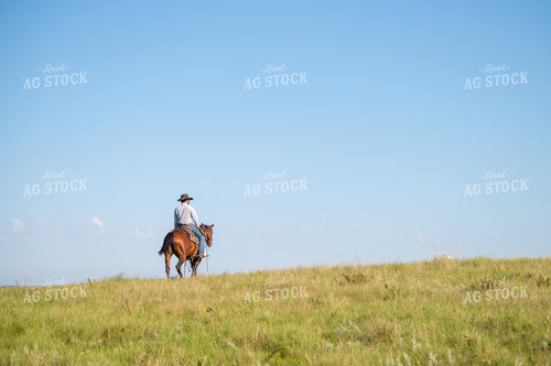 Rancher on Horseback 212115
