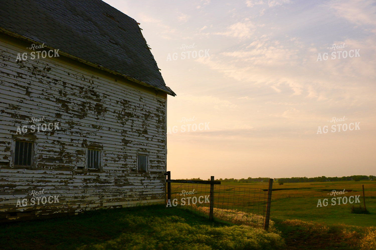 Barn 299206