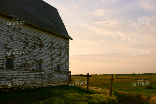 Barn 299206