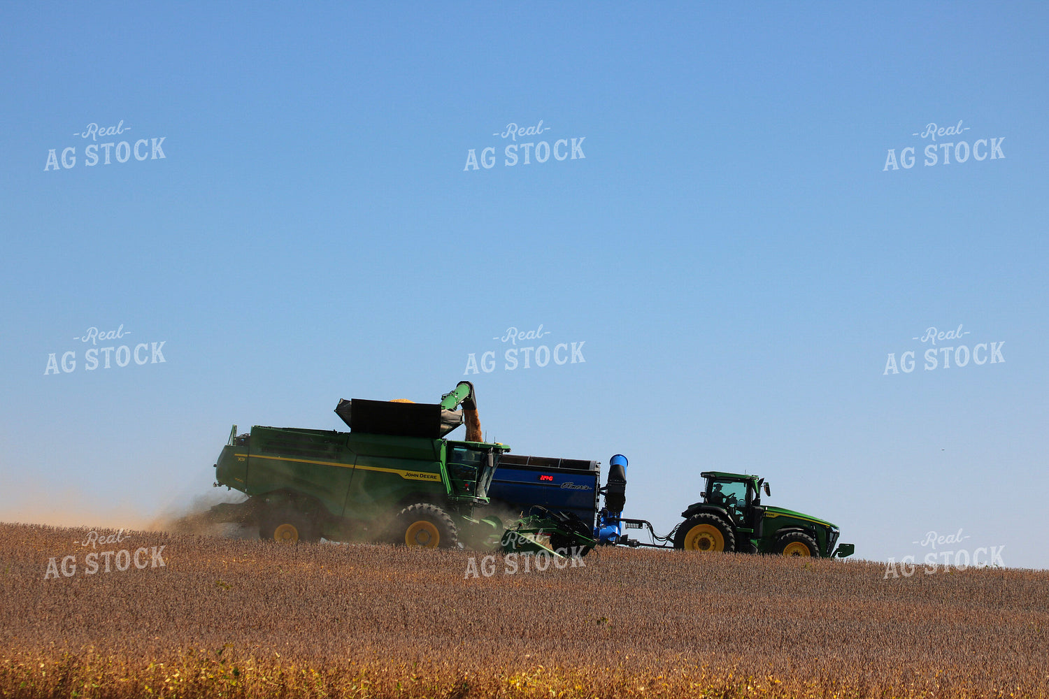 Soybean Harvest 82352