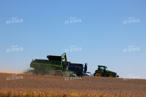 Soybean Harvest 82352