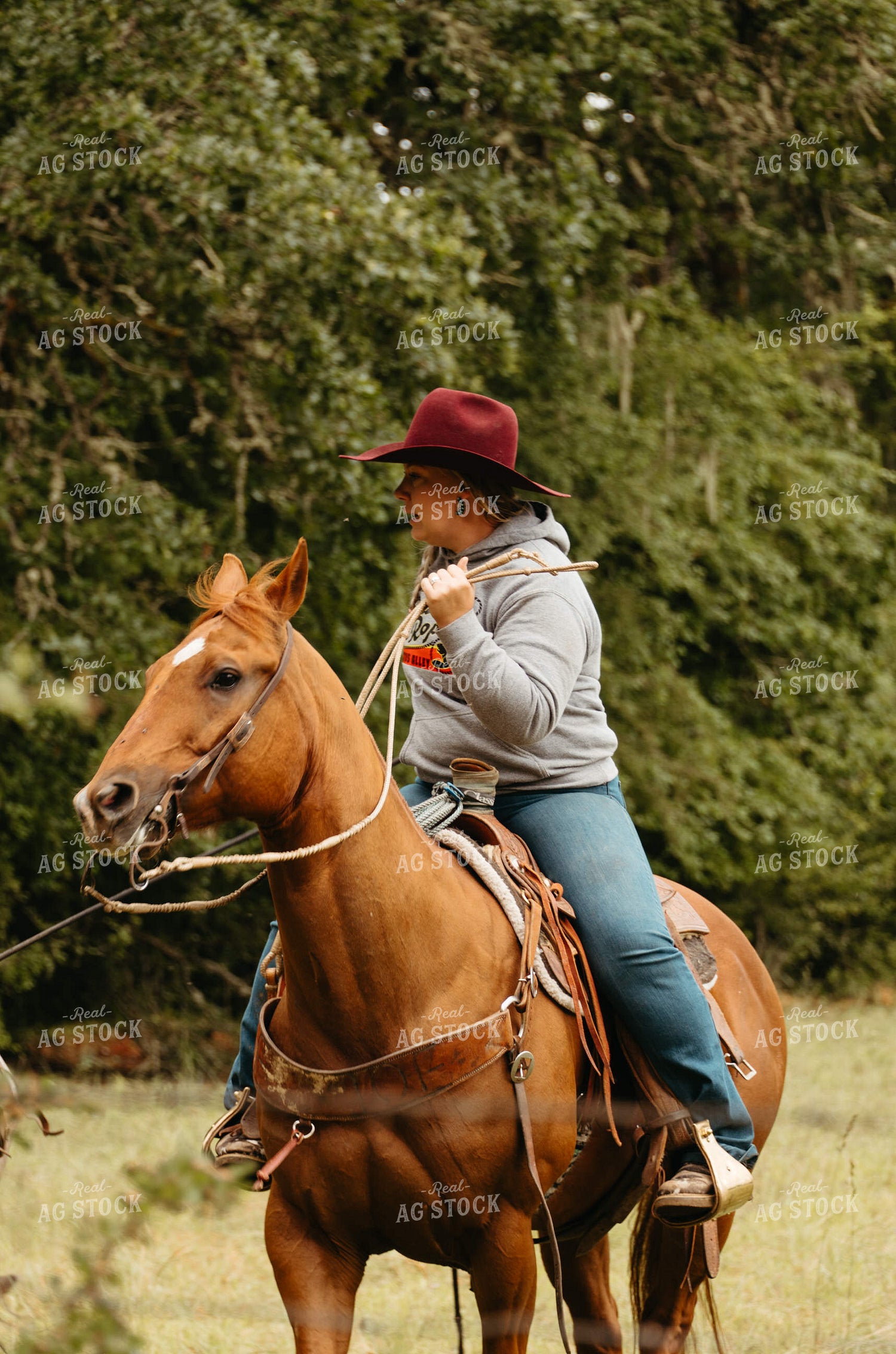 Female Rancher on Horseback 232002