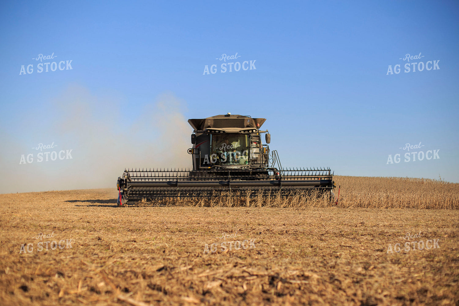 Soybean Harvest 93070