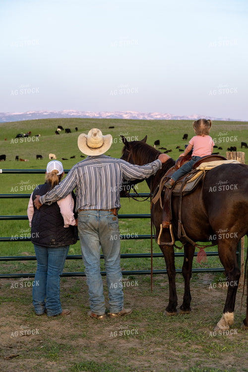 Ranch Familly Checking Cattle 65234