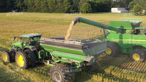 Rice Harvest 79505