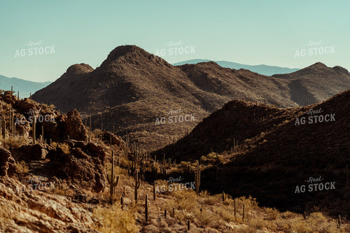 Desert Landscape 58033