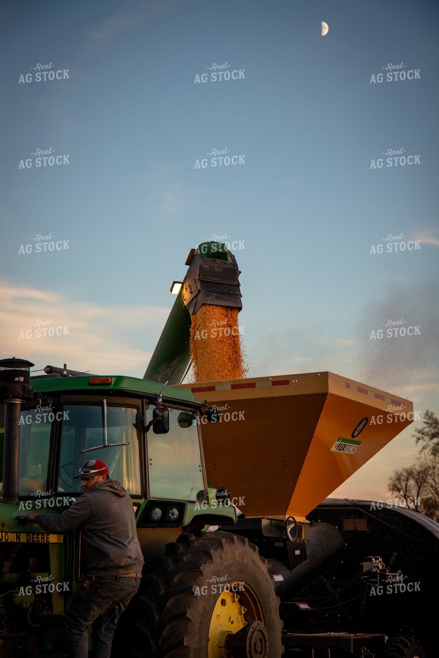 Bagging Harvested Corn 268252