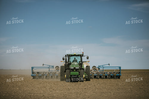 Planting on a Sunny Day 4145