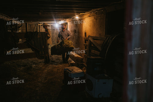 Ranchers Throwing Hay in Barn 6435