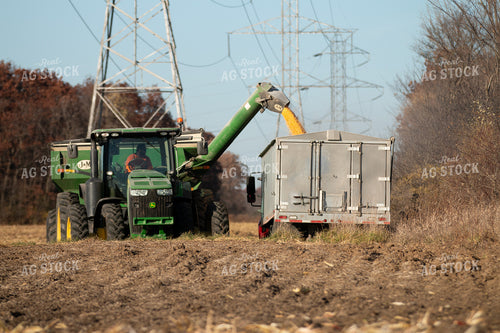 Corn Harvest 157257