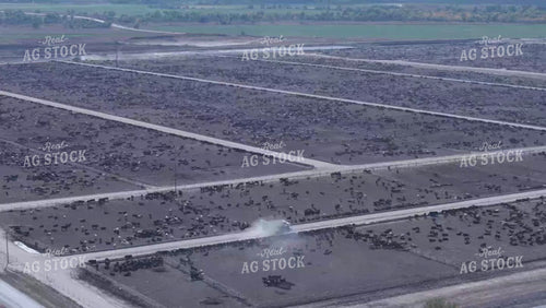 Aerial of Feedyard 239047