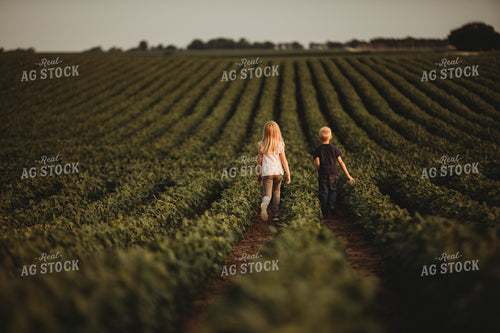 Farm Kids in Soybean Field 4567