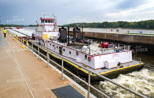 Towboat for Grain Transportation on Barges 154120
