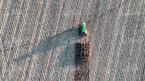 Cultivating 77317