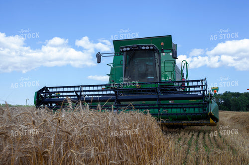 Wheat Harvest 132071