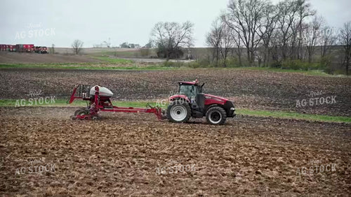 Planting into Tilled Cover Crops - 195
