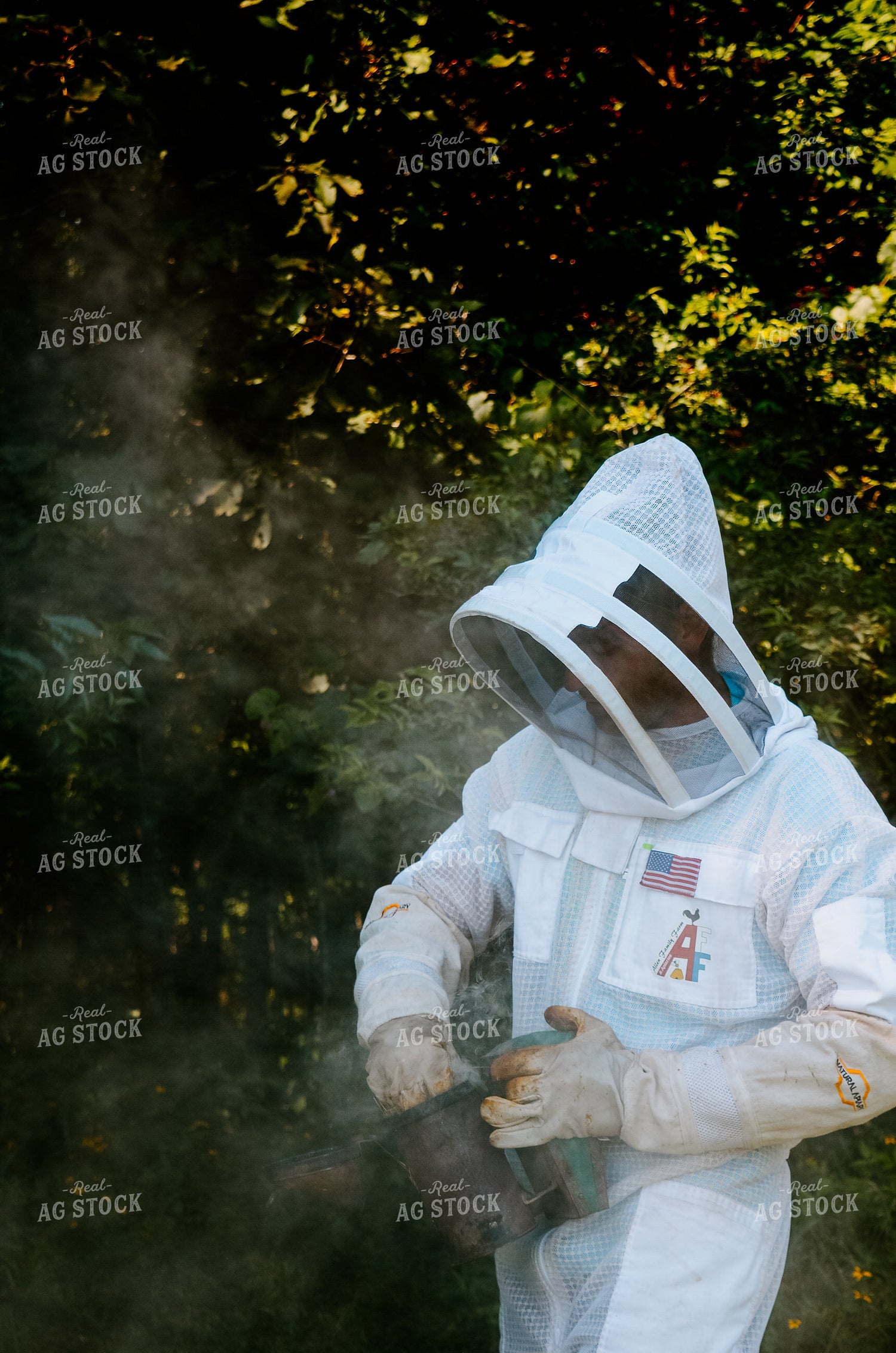 Beekeeper Handling honey bees 125034