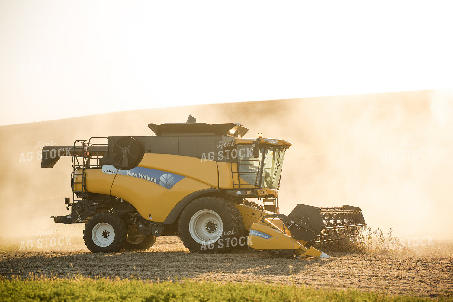 Soybean Harvest 215125