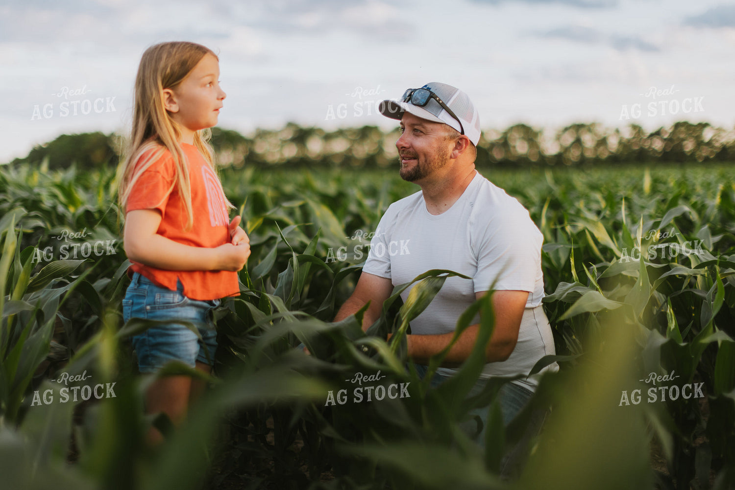 Farmer and Daughter Checking Corn 8808