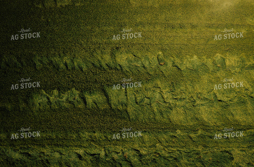 Lodged Rice Overhead 180012