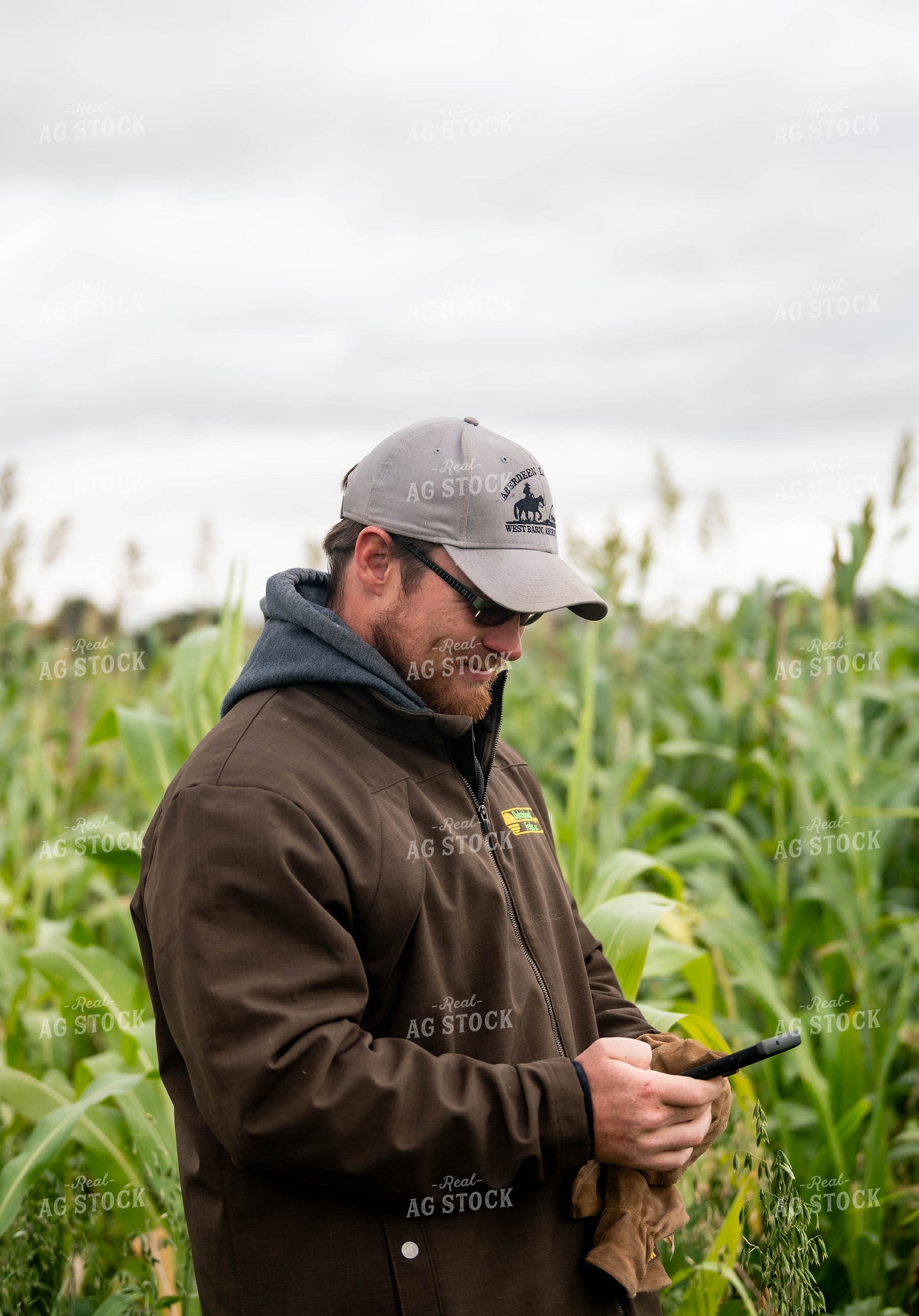 Farmer Using Phone 185020